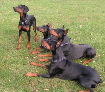 Dolly und Familie.jpg